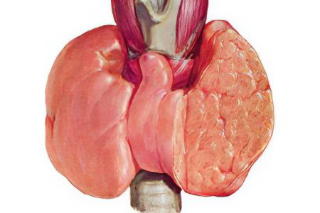 Euthyroidism of the thyroid gland