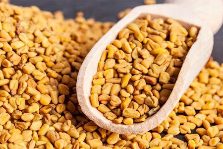 Fenugreek - useful properties for men and women, application