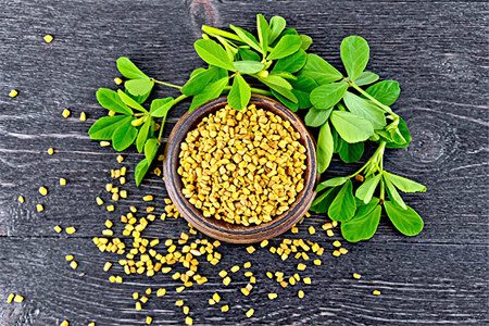 Fenugreek - useful properties for men and women, application