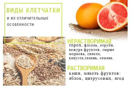 Fiber: benefits, types + TOP products