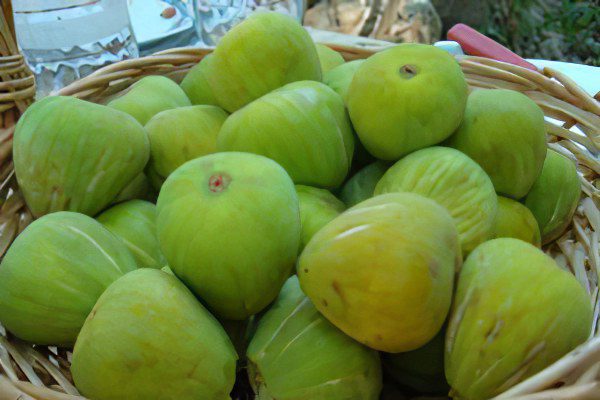 Figs: benefit and harm