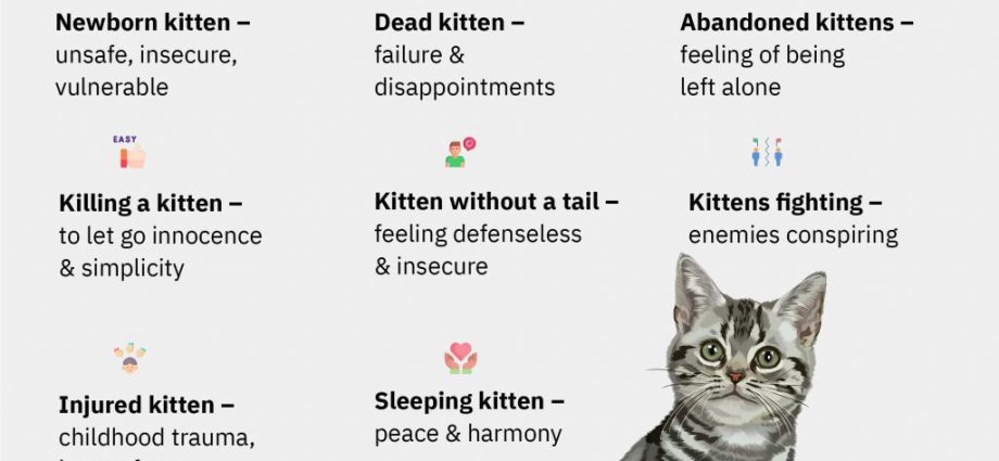 Fluffy and very dangerous: why kittens in the dream &#8211; meaning