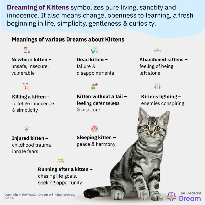 Fluffy and very dangerous: why kittens in the dream &#8211; meaning