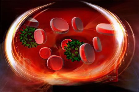 folate deficiency anemia