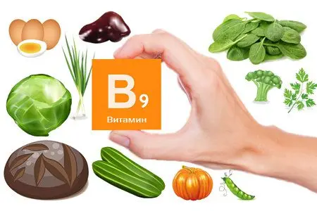 Folic acid: why do we need vitamin B9, where is it found?