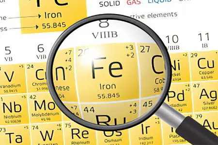 Functions and role of iron in the human body