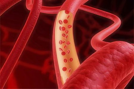 Functions of blood vessels - arteries, capillaries, veins