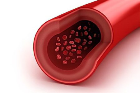 Functions of blood vessels - arteries, capillaries, veins