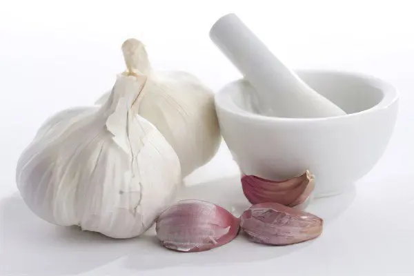 Garlic from worms, recipes