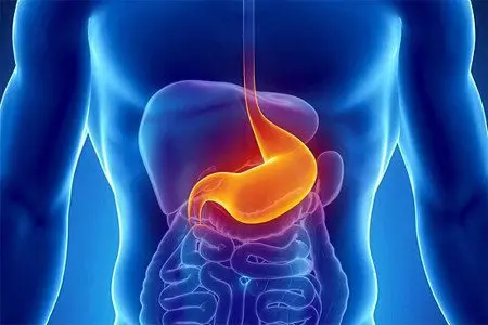 Gastroptosis: causes, symptoms and treatment