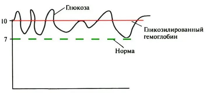 Glycated hemoglobin: the norm in a blood test