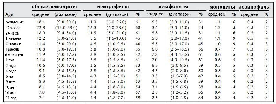 Granulocytes in blood test results