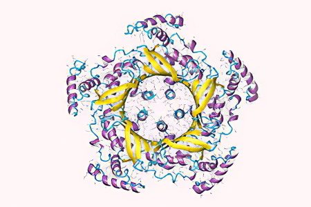 Haptoglobin &#8211; what is it? Norm indicators