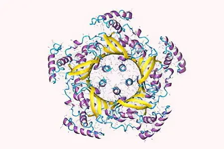 Haptoglobin &#8211; what is it? Norm indicators