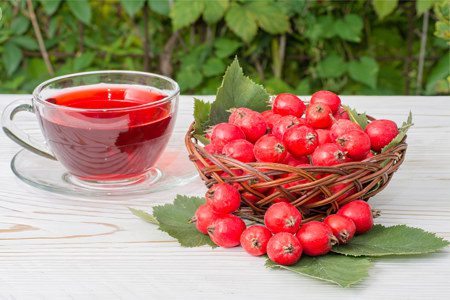 Hawthorn: benefits, medicinal properties, how to brew?