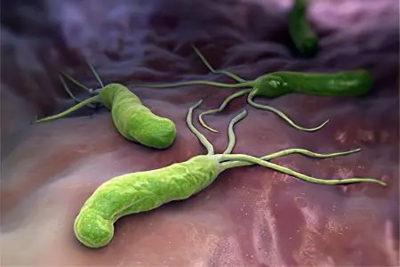 Helicobacter pylori eradication: which drug to choose?