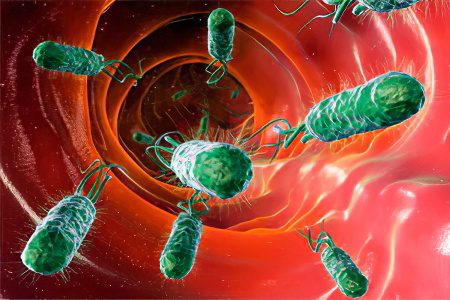 Helicobacter pylori eradication: which drug to choose?