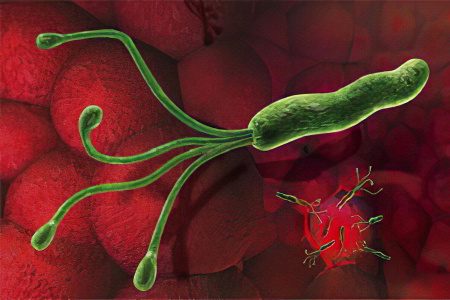 Helicobacter pylori eradication: which drug to choose?