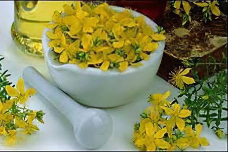 Herbs and plants to increase potency