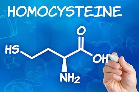 Homocysteine ​​when planning pregnancy - what it is, how to take it, reasons for the increase