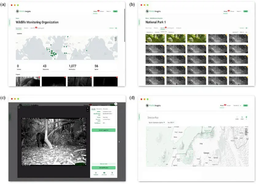 How machine learning helps save rare species from extinction