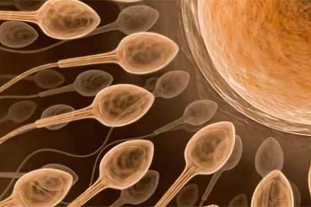 How to improve sperm quality?