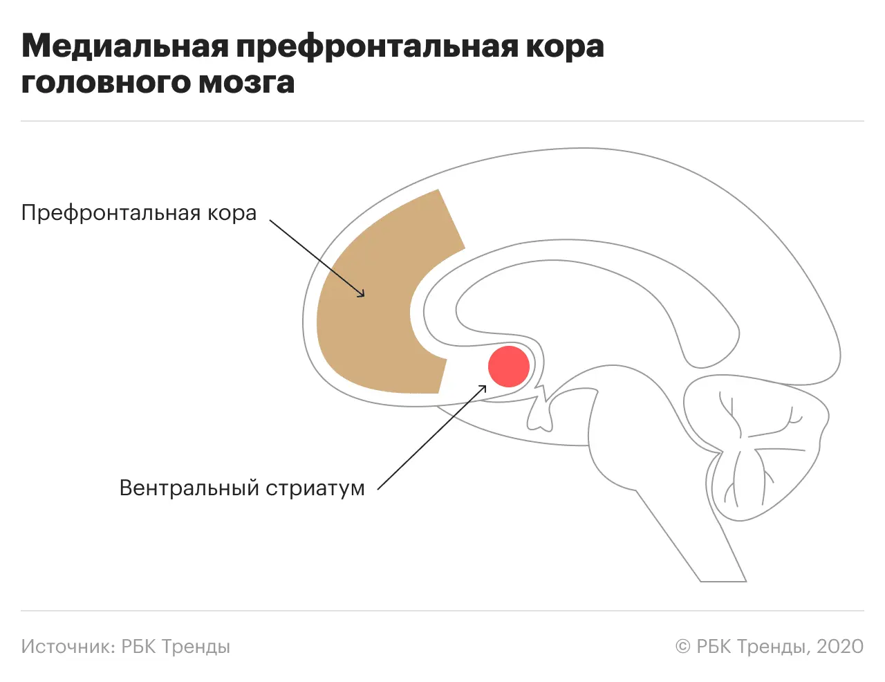 How to spend less money: 7 tips from neuroeconomists