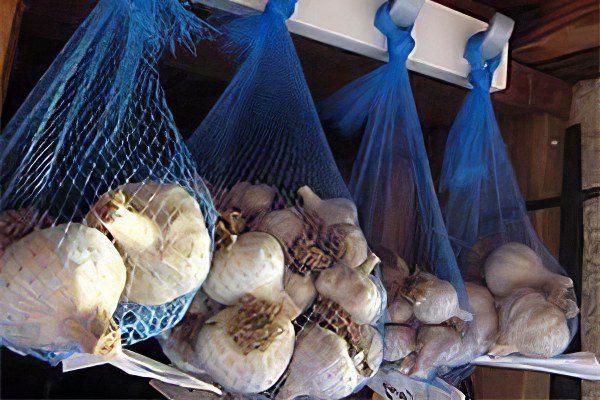 How to store garlic at home?