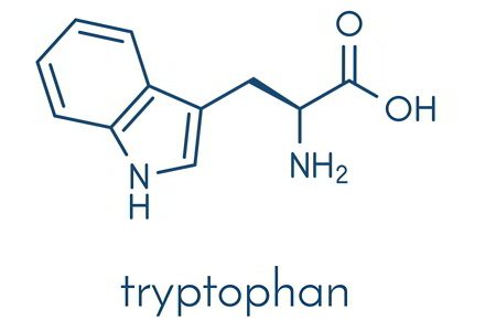 How tryptophan improves sleep quality and mood