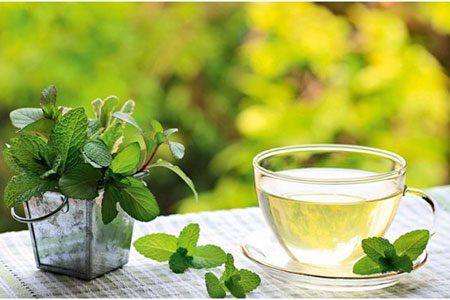 How useful is mint tea and who can drink it?