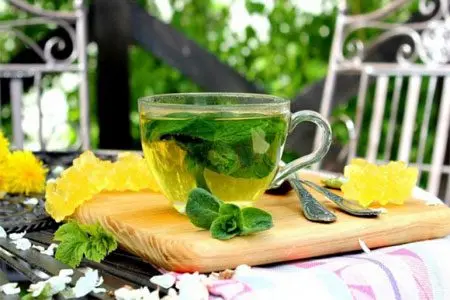 How useful is mint tea and who can drink it? How useful is mint tea and who can drink it?