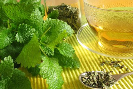 How useful is mint tea and who can drink it?