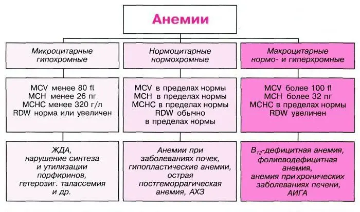 Hyperchromic anemia