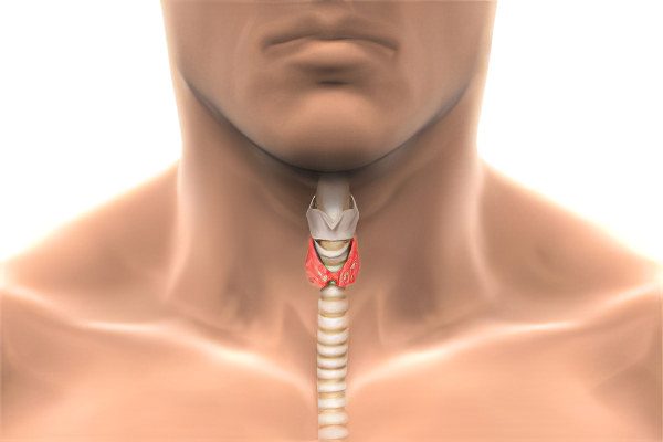 Hyperthyroidism in women and men