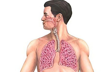 特発性線維性肺胞炎：病因、病因、治療