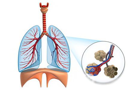 Idiopathic fibrosing alveolitis: etiology, pathogenesis, treatment