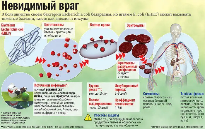 Intestinal infection: the first symptoms and treatment