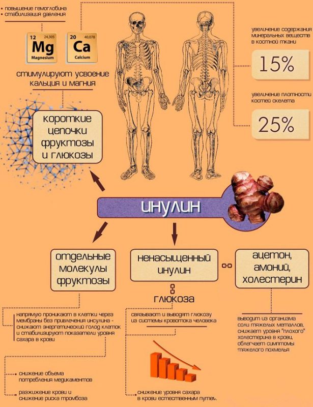 Inulin - benefits and harms, instructions for use