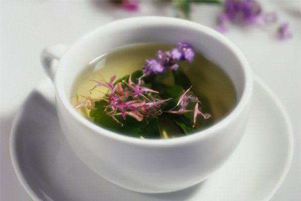 Ivan-tea: useful and medicinal properties of the miracle drink, how to brew it?