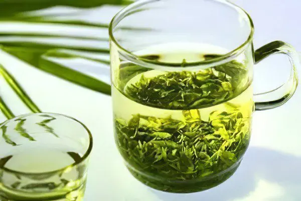 Japanese Sophora: medicinal properties, use and contraindications