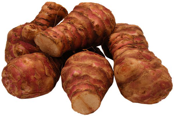 Jerusalem artichoke: what is it? 7 useful properties, harm and contraindications