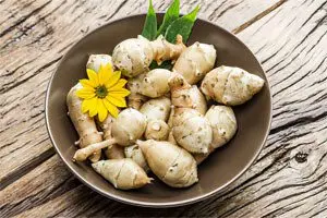 Jerusalem artichoke: what is it? 7 useful properties, harm and contraindications