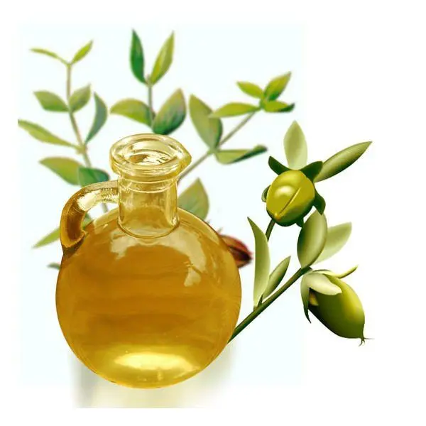 Jojoba