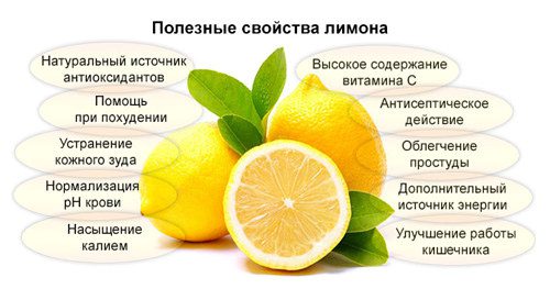 Lemon: benefits and harms, composition, 4 ways to use