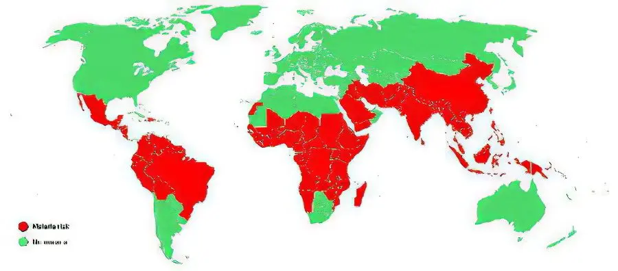 Leprosy (leprosy): what is this disease? Leprosy (leprosy): what is this disease?