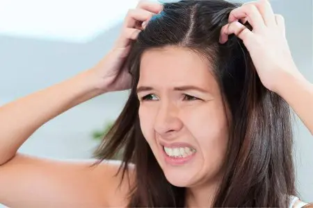 Lice on the head - what do lice look like? How to get rid of them?