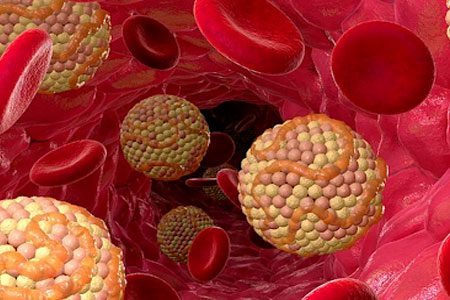 Lipids: functions, classification