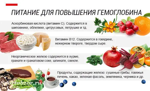 List of foods to increase hemoglobin List of foods to increase hemoglobin