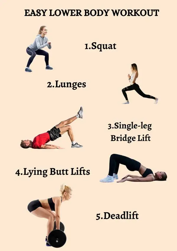 Lower body workouts