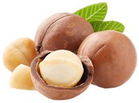 Macadamia: benefits and harms, how much can you eat?